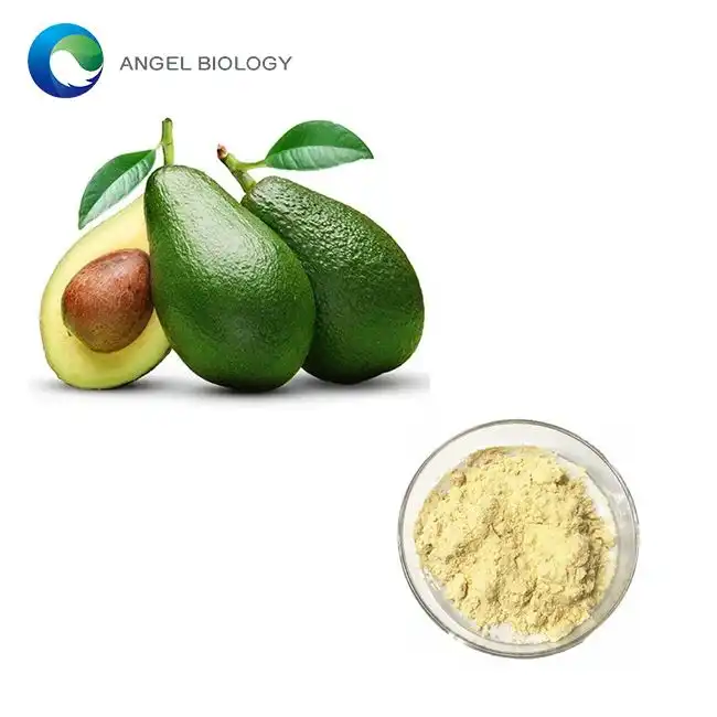 Where to Buy Organic Avocado Extract Powder Wholesale: Best Suppliers